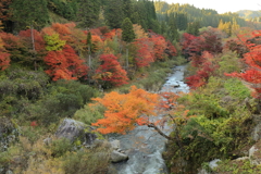 秋の川沿い