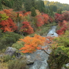秋の川沿い