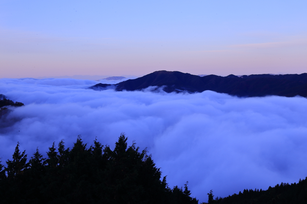 雲海だ