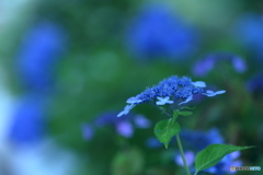 ちょっと寒い