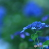 ちょっと寒い