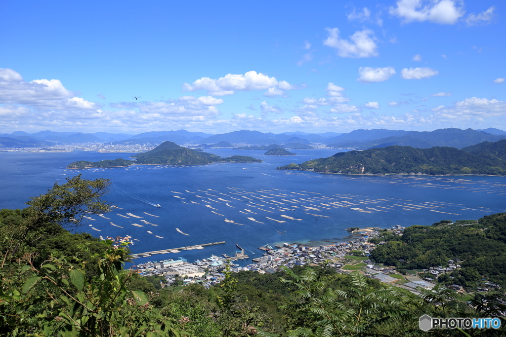 砲台山から見る似島（安芸小富士）＋おまけ（トンボ）