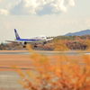 着陸ほぼ成功