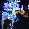 Crystal reindeer 