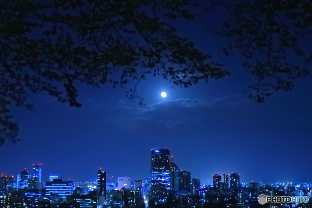 月夜の仙台