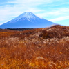 朝霧高原