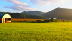 北海道の朝