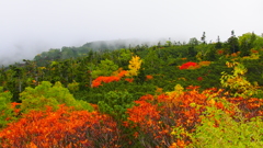 乗鞍高原