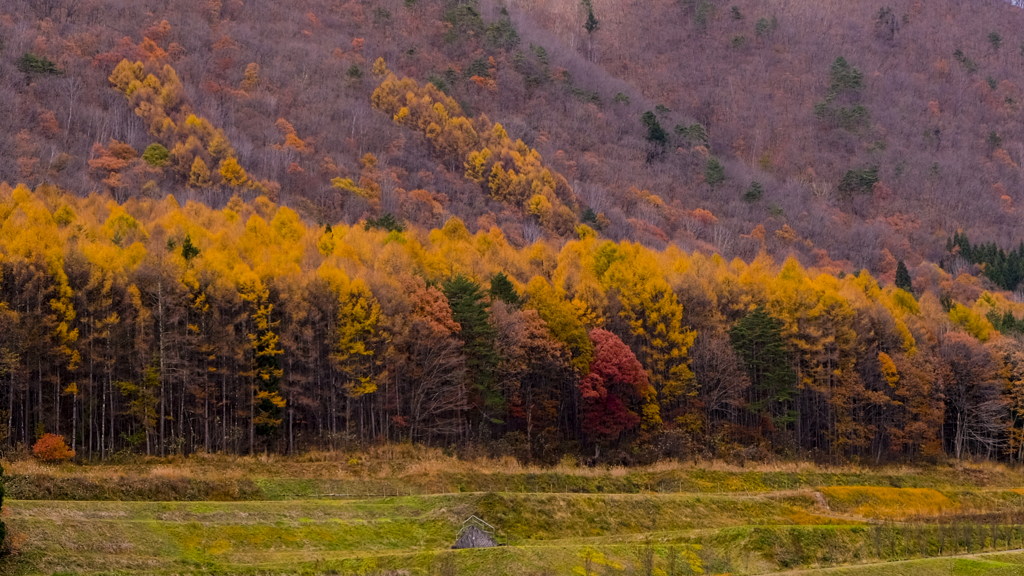 白馬の秋風景