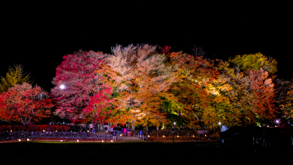 河口湖の紅葉祭