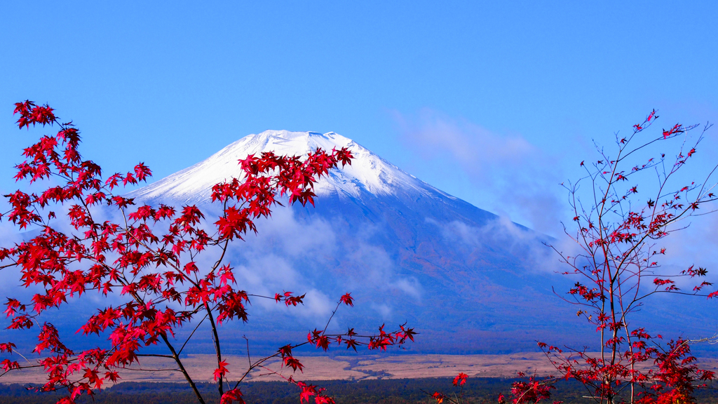 山中湖畔