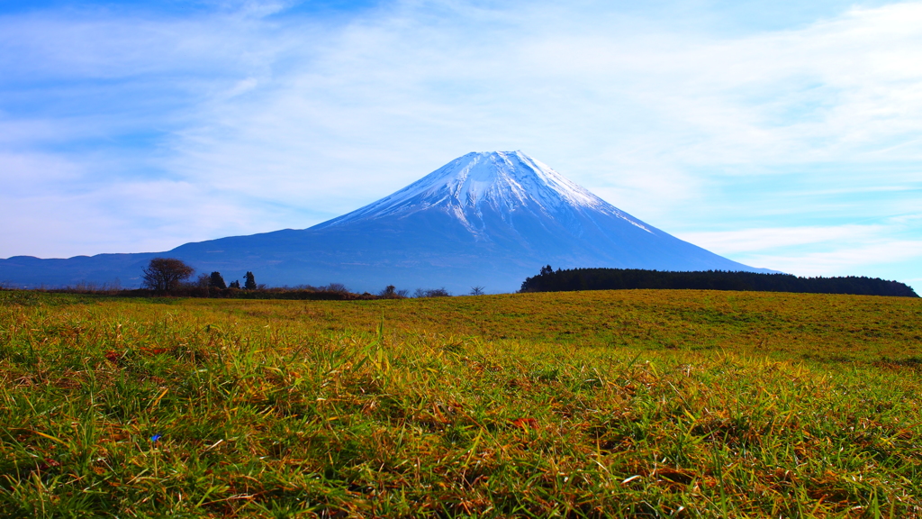 朝霧高原