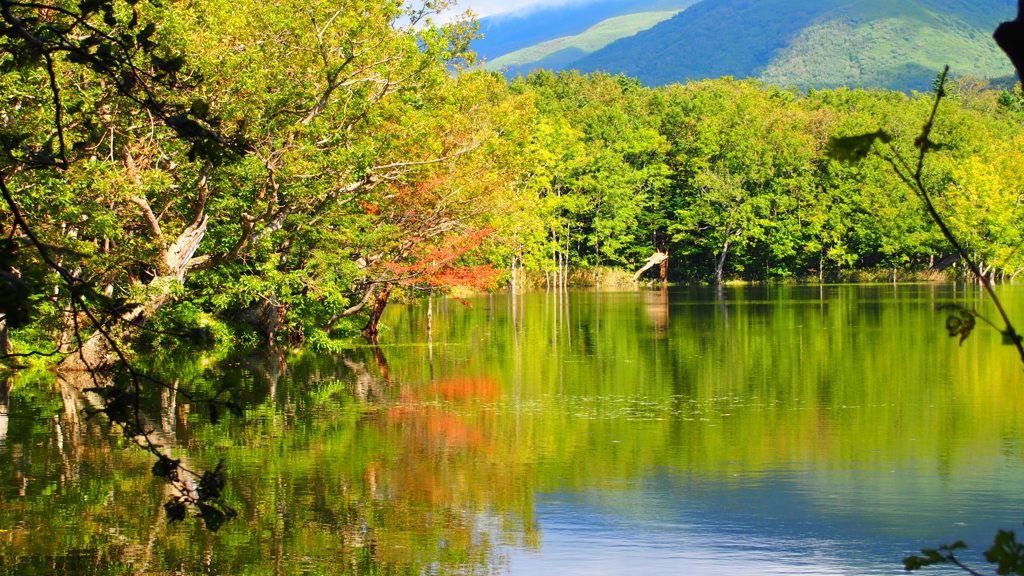 知床五湖