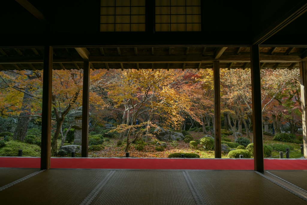 錦秋