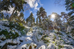 雪を踏みしめて