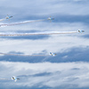 航空祭