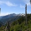 立ち枯れの森と悪沢岳