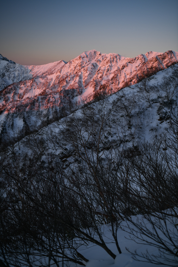 何かがおかしい…