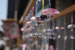 夏の音