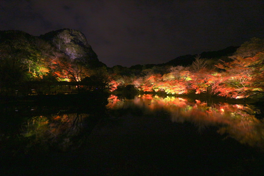 夜の紅葉