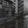 佐賀市内　スナップ