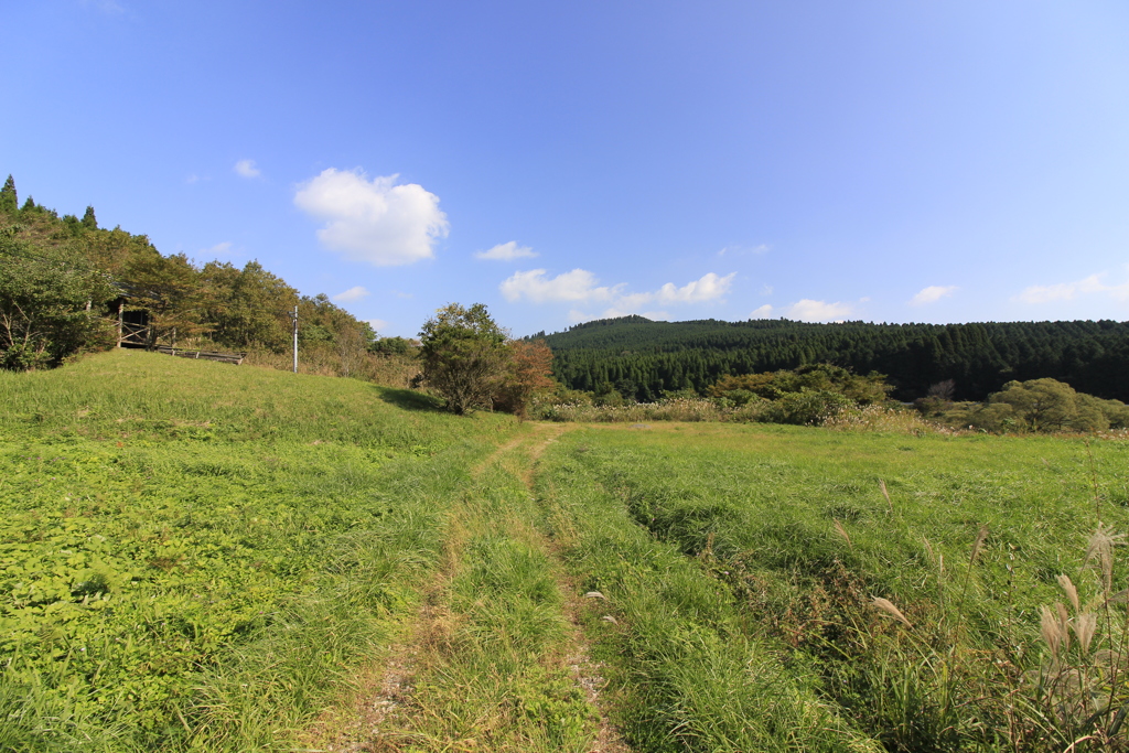 山中の小道