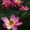DSC01320