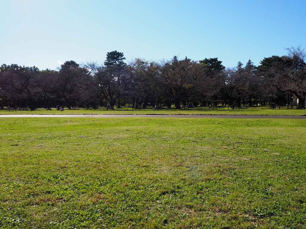 小金井公園