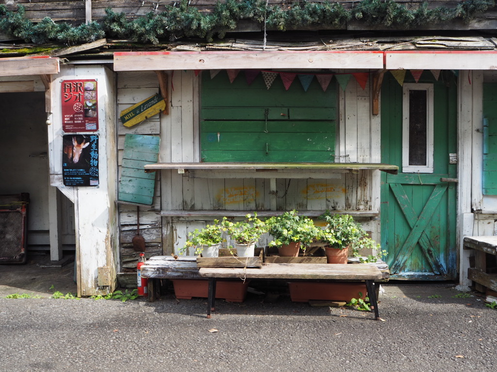 緑の店