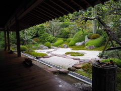 庭