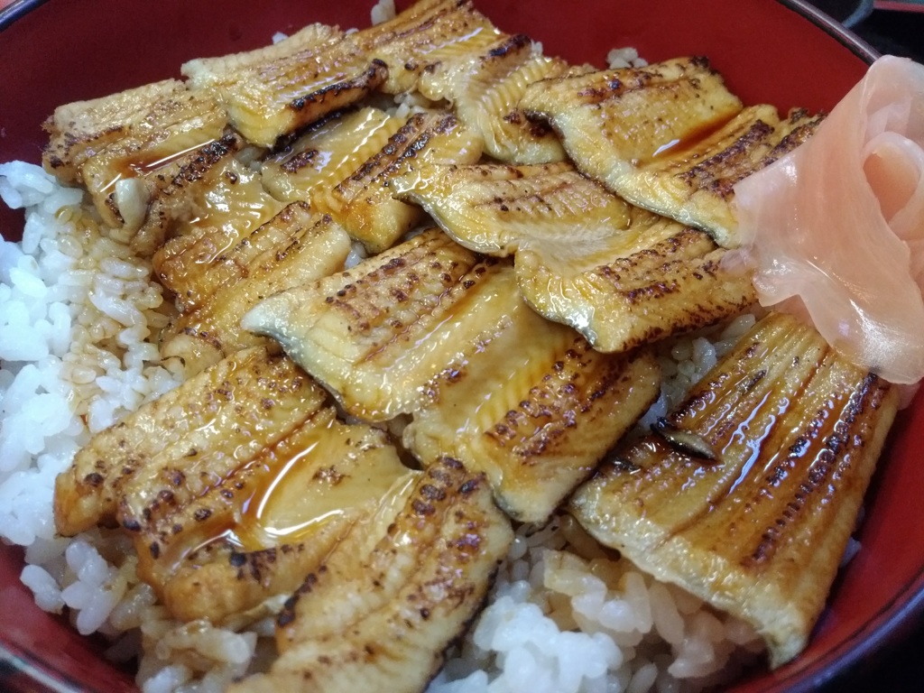 宮島の穴子丼