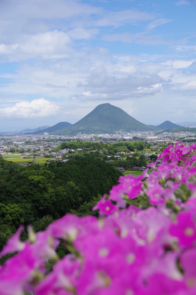 讃岐富士