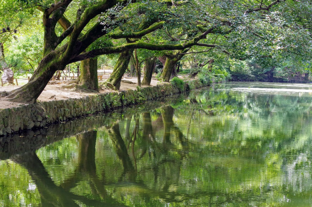 栗林公園の川辺