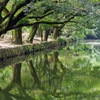 栗林公園の川辺