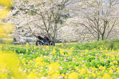 20170416164906_YS6A4757