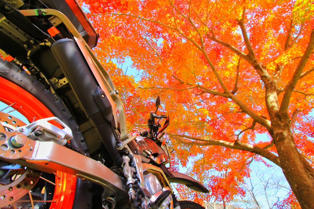 20161112121438_YS6A6713-01