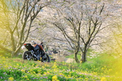 20170416165104_YS6A4769