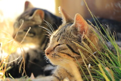 20161112125812_YS6A6784