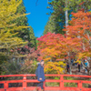 紅葉＠高野山