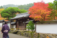 紅葉＠南禅寺