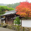 紅葉＠南禅寺