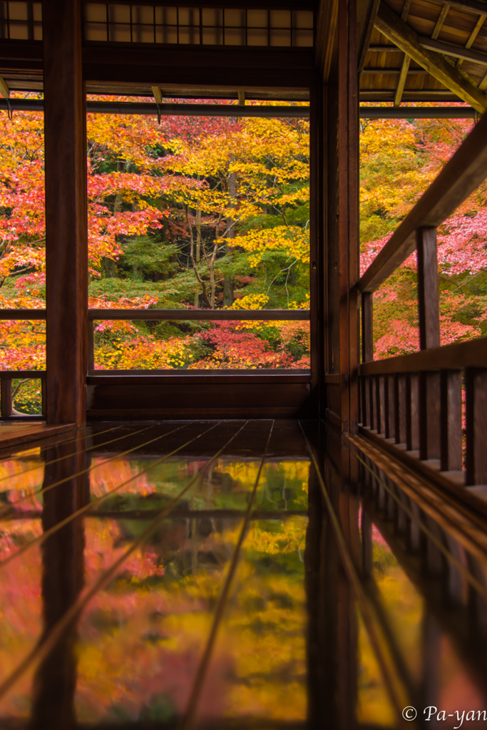 Reflection