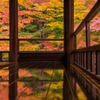 Reflection