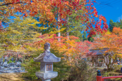 紅葉＠高野山