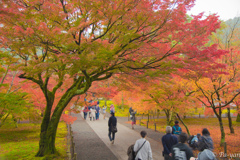 紅葉＠南禅寺