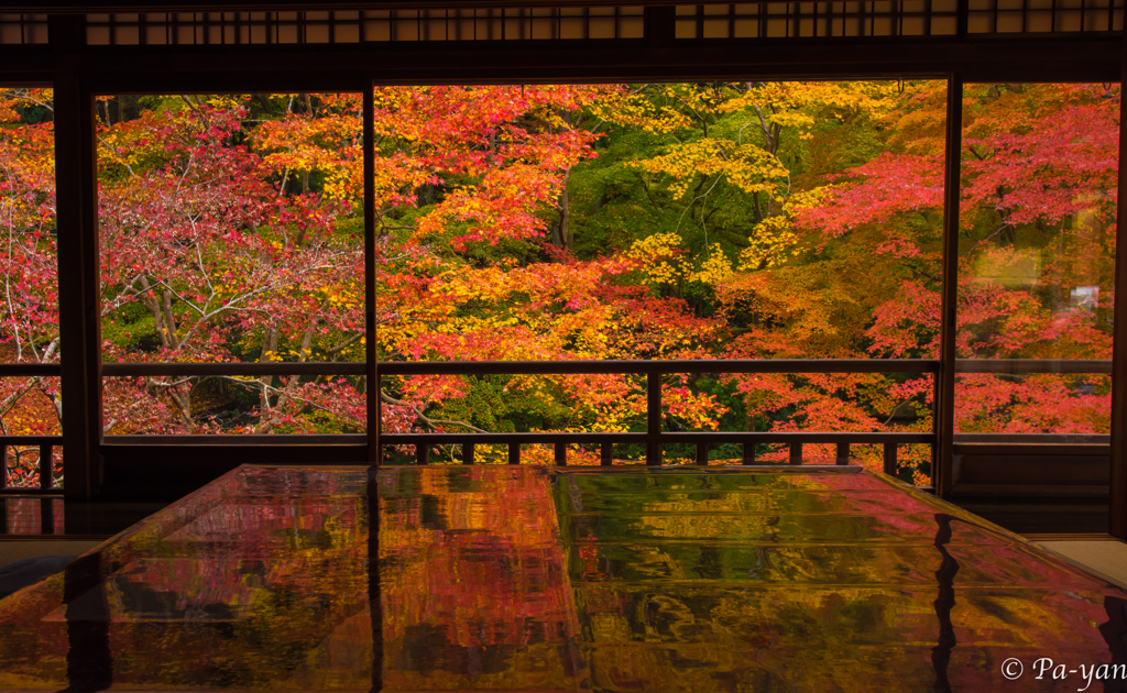Reflection