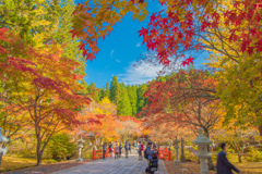 紅葉＠高野山