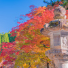 紅葉＠高野山