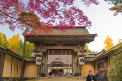 高野山にて