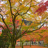 紅葉＠南禅寺